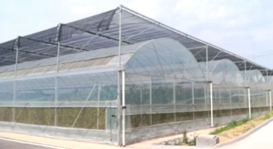 6ml greenhouse plastic price