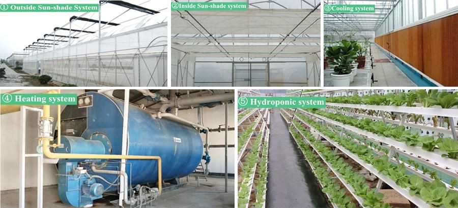 corrugated plastic greenhouse factory