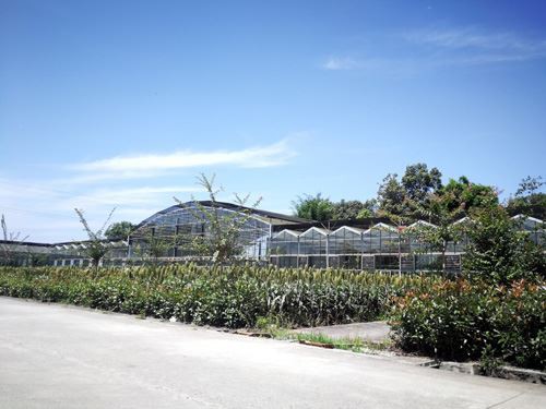The advantages of solar panel greenhouses relative to film greenhouses
