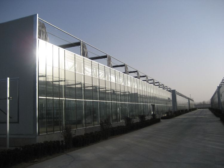 Agricultural Glass Greenhouse