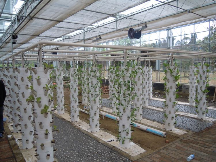 intelligent greenhouse