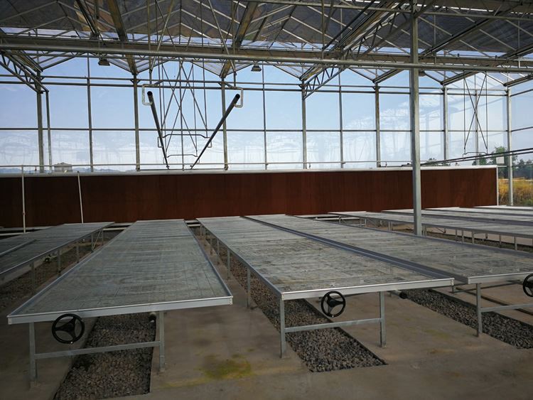 PC sun panel greenhouse construction