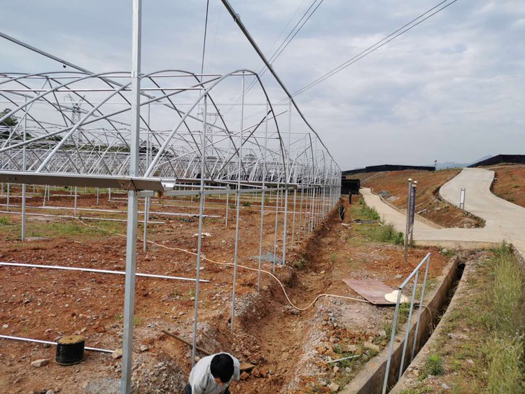 single-span greenhouses single-span greenhouses