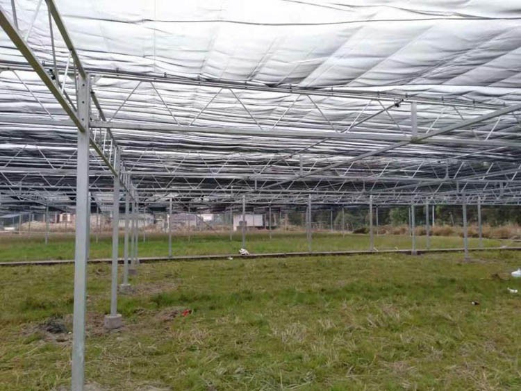 Shading Net Greenhouse