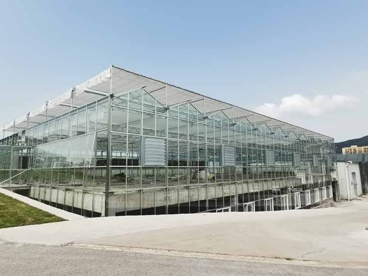 What to do if the soil salinization in the greenhouse is serious Solutions to soil salinization What to do if the soil salinization in the greenhouse is serious Solutions to soil salinization