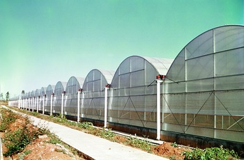 Multi-span Greenhouse Multi-span Greenhouse